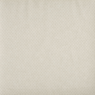 Oxford, Canvas - Fabric Only